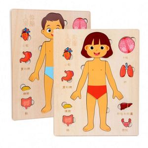 Puzzle en bois d'anatomie humaine, ensemble de jeu éducatif de la structure du corps humain, jouet de dessin animé DIY pour enfants - Product Image 1