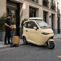 Tricycle Électrique Fermé Certifié CEE SQ3, Scooter de Mobilité à 3 Roues, Plus de 30 Couleurs Disponibles, MOQ 5