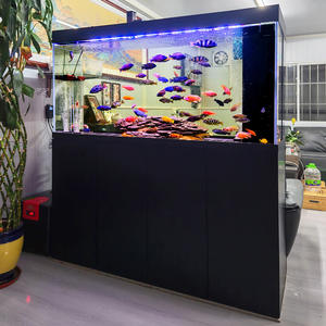 Aangepaste moderne, milieuvriendelijke witte glazen viskom/<span class=keywords><strong>aquarium</strong></span> (500-1000L) voor woonkamer en kantoorhal met bodemfiltersysteem - Product Image 3