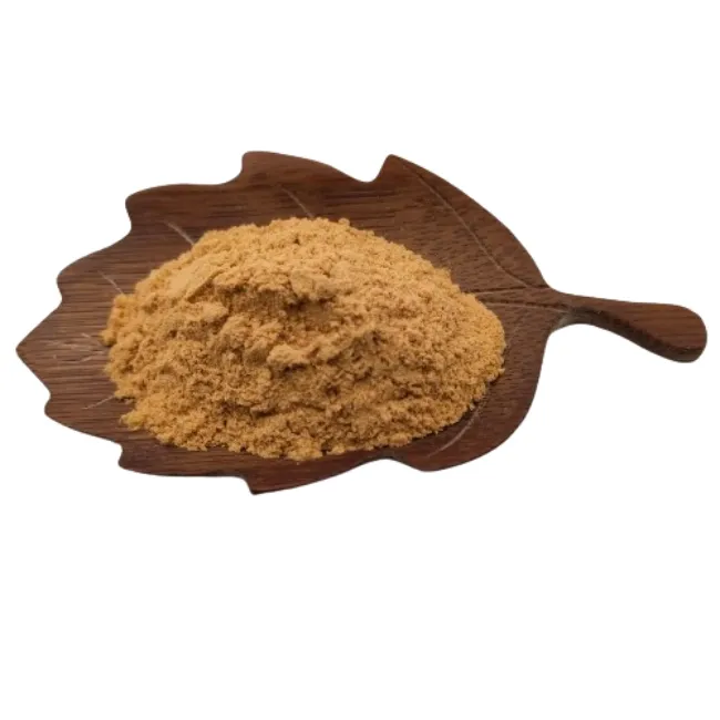 Wholesale Manufacturer Supply Mushroom Blend Powder Mushroom Organic Mix Mushroom Powder