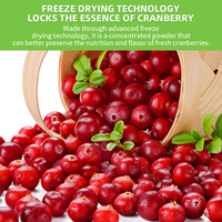 Hoogwaardig Cranberry Extract Poeder Natuurlijk Instant 100% Biologisch Cranberry Fruitpoeder Cranberry Concentraat Sap Poeder