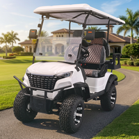Voiturette de golf classique à siège épais, design populaire, buggy de tourisme, chariot de golf au lithium – Marchés USA, Espagne, Italie