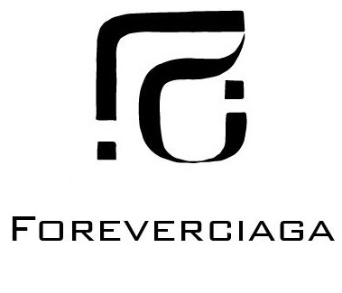 Shenzhen Hengzuan Shijia Jewelry Co., Ltd. logo