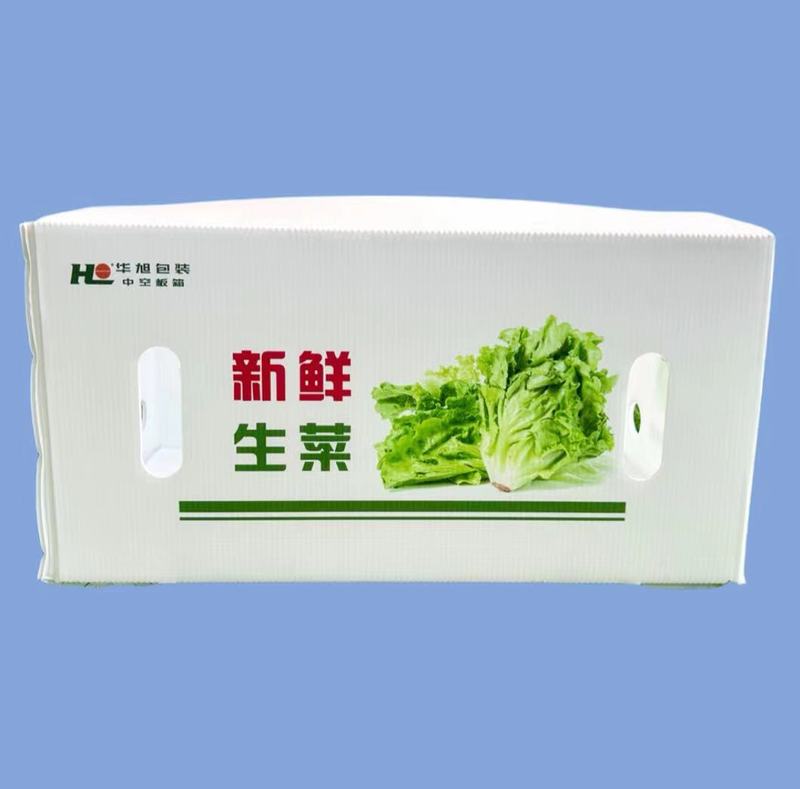 Fresh Vegetables PP Packing Corrugated Plastic