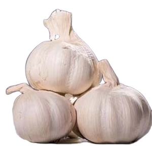 Plantador de ajo/agricultor en <span class=keywords><strong>China</strong></span> con buen precio - Product Image 1