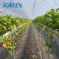 Système de culture hydroponique en gouttière à fraises de grande taille à couche unique en PE IGreen avec serre agricole multi-voûtes
