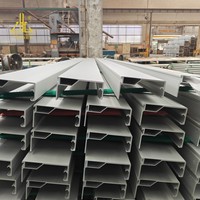 Profilé en aluminium anodisé sur mesure OEM ODM, section en aluminium extrudé avec finition d'anodisation par perçage, fraisage et découpe CNC