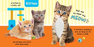 Libro Sensoriale Tattile e Sonoro per Bambini con Animali della <span class=keywords><strong>Fattoria</strong></span> e Suoni di Animale Domestico - Libri Sonori Premium - Product Image 3