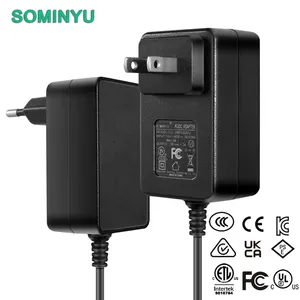 12v2a US Plug Power Adapter With UL CE Certificate 5V 9V 12V 24V Can Customized