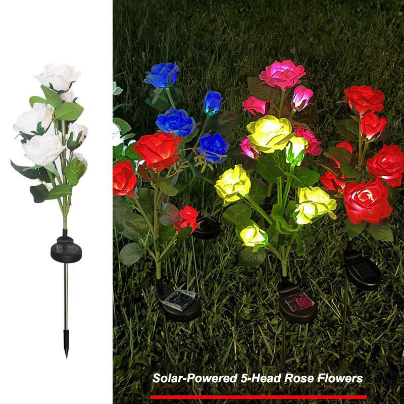 Rose blanche à cinq têtes