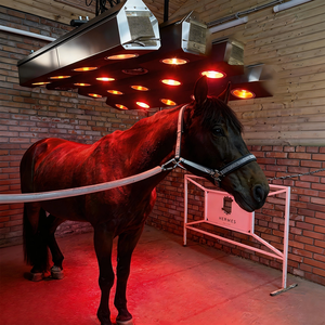 Système professionnel de solarium équin à infrarouge et lumière rouge pour la thérapie, équipement de rééducation équine, chauffage et séchage pour écurie - Product Image 5