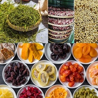 Mini Roterende Thee Moringa Bladdroger Droogmachine Droger Fruit Droogoven Prijs