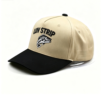 Casquette de baseball à 5 panneaux brodée ODM OEM, personnalisée, unisexe, en maille, avec logo personnalisé, lettres sérigraphiées, haute qualité, style Baez Trucker