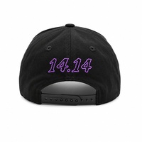 Nouvelle Casquette de Baseball Designer à Visière Courbe en Daim avec Patch Logo 14 14 Orné de Bijoux, Broderie 3D Haute Définition, Logo Personnalisé Bling Religion