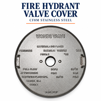 Composants OEM en acier inoxydable CF8M de 5 pouces et 0,2 kg, fabriqués par moulage à la cire perdue de précision, pour assemblages de piliers d'incendie et couvercles de vannes de piliers d'incendie