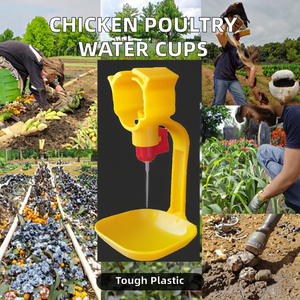 Pièces d'équipement d'élevage de poulets de chair 25mm <span class=keywords><strong>PVC</strong></span> rond/carré <span class=keywords><strong>tuyau</strong></span> d'eau en acier mamelon buveur goutte à goutte tasse gril casserole <span class=keywords><strong>mangeoire</strong></span> pour poussins - Product Image 3