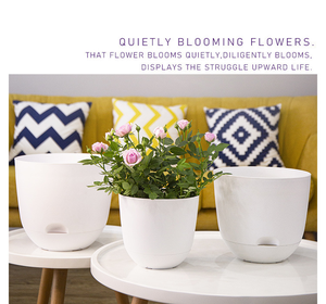 Maceta para Plantas de Interior y Exterior, Macetas para <span class=keywords><strong>Suculentas</strong></span>, Macetas Autorregantes <span class=keywords><strong>con</strong></span> Orificios de Drenaje y Platos - Product Image 6