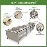 Industrie Watermeloen Palm Fruit Groente Grote Auto Continu Proces Aardbei Schone Wasmachine Machine