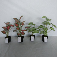 Bonsaï artificiel en soie, feuilles de Syngonium Papillon Vert, Tannia, Arrowleaf, Oreille d'Éléphant, Taro, 40 cm, centre de table pour mariage et Noël