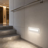 Luminaire de secours étanche automatique pour installation murale et plafondière, sans entretien / à entretien minimal
