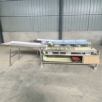 Industriële fruit sorteermachine, roltype, maatselectie sorteerder, appel, sinaasappel, aardappel, ui verwerkingsapparatuur