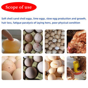 Additifs Alimentaires Prémélangés à l'Huile de Foie de Poisson 120g pour Volailles et Bétail – Vitamines et Acides Aminés de Qualité Alimentaire Favorisant la Croissance et la Production d'Œufs en Poudre - Product Image 5