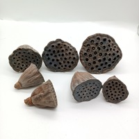 Accessoires de photographie d'inspiration zen, ornements décoratifs avec petites grappes de lotus, graines, fleurs séchées, fruits, artistiques et naturels