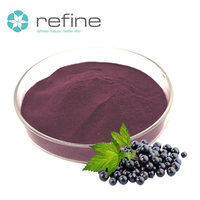 Fabrieksleverancier Zwarte Bessen Extract Poeder 5%-25% Anthocyanen Groothandel Zwarte Bessen Extract