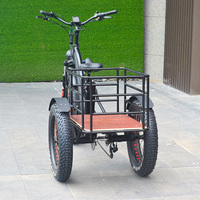 BEITE/TDE-09Z Bafang vélo électrique 250W avec moteur de moyeu arrière et système de frein à disque de batterie au lithium 48V tout dans une boîte en bois