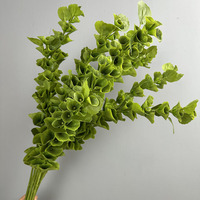 Plantes artificielles modernes de type Clochettes d'Irlande, feuillage de qualité supérieure, longues tiges, pour arrangements floraux de mariage et décoration intérieure