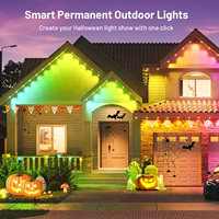 Smart Point Light RGBIC IP67 impermeable al aire libre para la decoración de la casa del techo Led luces de Navidad permanentes