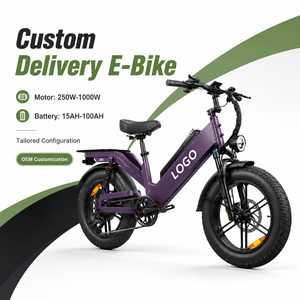 Vélo cargo électrique personnalisé D55 avec pneus larges de 20 pouces, 48V 55AH 250W-1000W, cadre en aluminium, 7 vitesses, frein à disque - Product Image 1