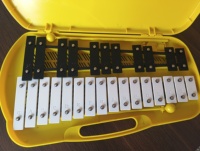 Portable 27 Note Metallophone in Storage Box Kids Educational Musical Toy with Mallet