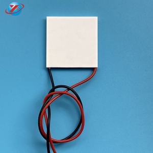 Yanghang <span class=keywords><strong>2025</strong></span>高性能熱電モジュールペルチェ冷却モジュール - Product Image 2