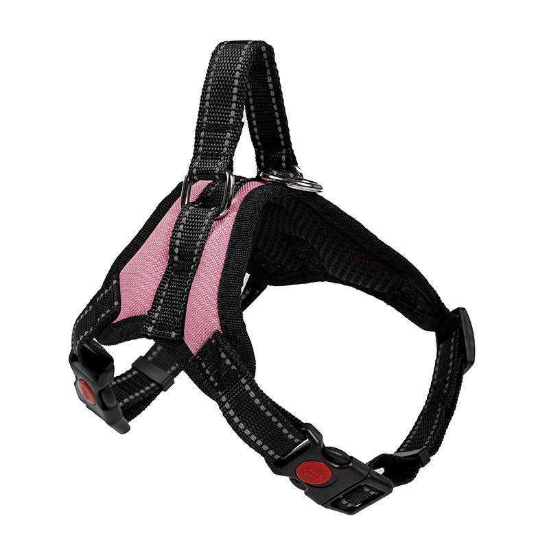 Pink Big Dog Chest Strap