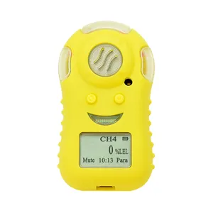 Compteur de gaz CH4 gpl lie CE ATEX détecteur d'alarme de gaz combustible portable antidéflagrant