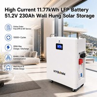 Batterie LFP Hysonn haute intensité 11,77 kWh 51,2 V 230 Ah murale pour stockage solaire domestique ESS et livraison rapide OEM