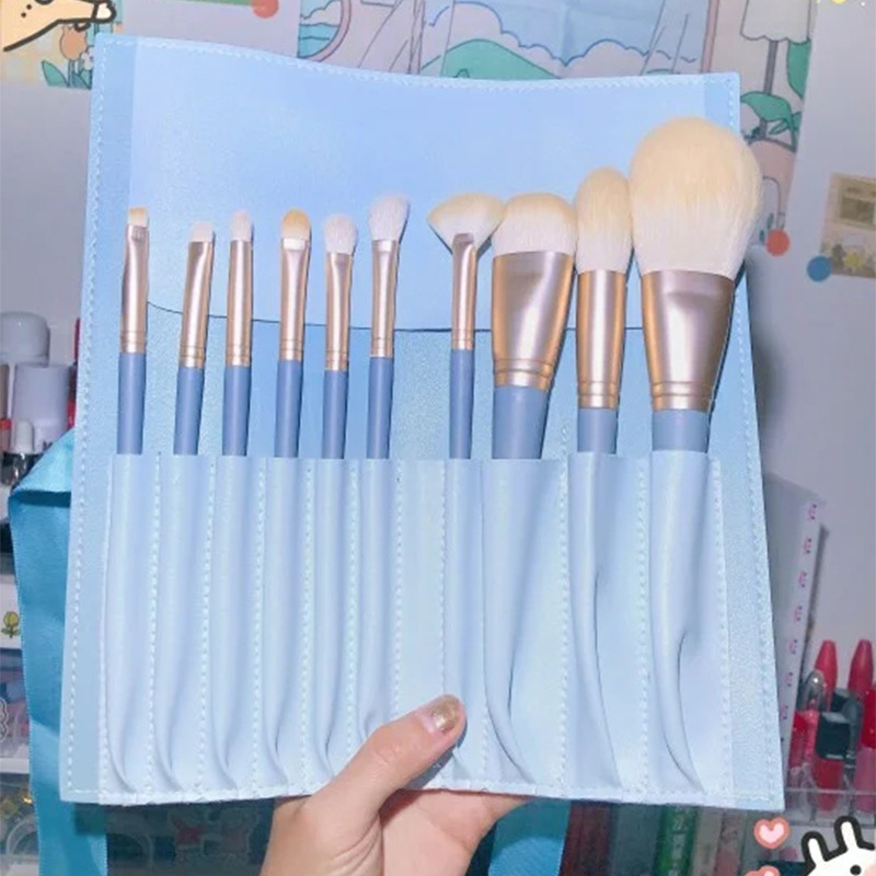10 pieces of Blue brushes+ 10-hole plug pack