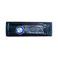 Bañera de hidromasaje para exteriores, reproductor de DVD impermeable con radio FM y control remoto para SPA