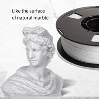 Filament d'imprimante 3D PLA Marbre en gros certifié CE RoHS Grade A+ Automatique Éducatif Tension 0V pour Ligne de Production