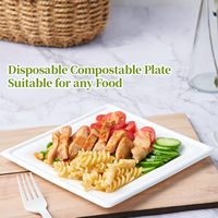 Plaque de pulpe de bagasse de canne à sucre biodégradable compostable plateau de service alimentaire jetable avec coffre-fort de fête de conception à clapet