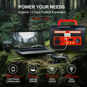 Station d'alimentation portable ESUN 300W, <span class=keywords><strong>batterie</strong></span> de stockage d'énergie solaire 256Wh pour le camping, la maison, la sauvegarde, USB PD 60W, 2 prises AC rapides - Product Image 2