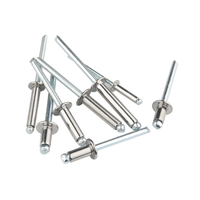 Usine acier inoxydable SS 304 316 ASTM B8M B8T tête ronde saillante extrémité ouverte Rivet aveugle DIN 7337 A