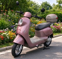 Moto électrique avec batterie au lithium ou au plomb-acide 20Ah 32Ah, moteur à moyeu en cuivre pur 1000W~2000W, vitesse 60-70km/h, pour trajets quotidiens des adultes