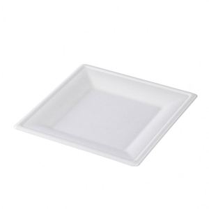 Plato Desechable Biodegradable Personalizado de 8 Pulgadas Cuadradas, Ecológico, Hecho de Bagazo, para Servir Postres - Product Image 2