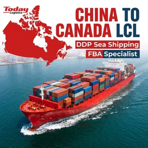 บริการขนส่งทางทะเลที่เชื่อถือได้ไปยังแคนาดา FBA Sea Express LCL รวมสินค้า คลังสินค้า รับสินค้า ตรวจสอบฉลาก บริการจัดส่งรวดเร็ว - Product Image 1