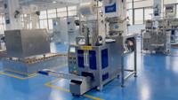 Automatische 2-kommen tellende, vul-, sluit-, wikkel- en verpakkingsmachine voor dadels, jujubes en gedroogd fruit.