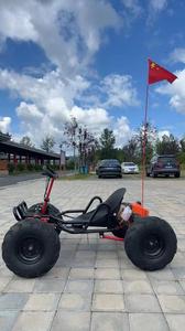 Karting à essence haute performance 50-200CC 4 <span class=keywords><strong>temps</strong></span>/<span class=keywords><strong>2</strong></span> <span class=keywords><strong>temps</strong></span> pour adultes et enfants - Buggy de course tout-terrain extérieur haute vitesse - Product Image 6