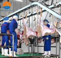 Ligne complète d'abattage de moutons tout-en-un, équipement d'abattage haute productivité 20-100 têtes/jour pour abattoir de moutons et de chèvres