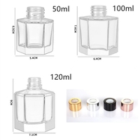 En stock bouteille diffuseur en verre d'aromathérapie 50ml 100ml 120ml bouteille diffuseur à roseaux